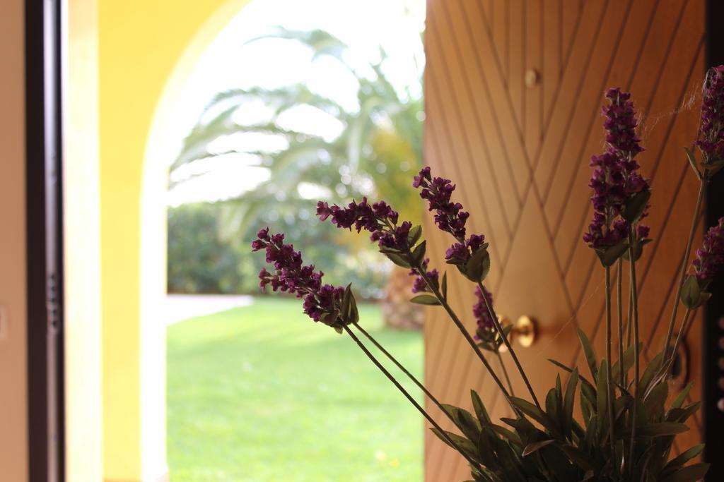 Le Corti Del Sole Residence Venturina Terme Eksteriør billede